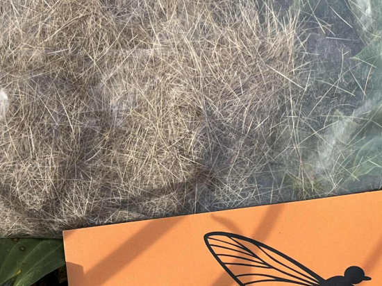 poils de lièvre - Beige soutenu (nat)