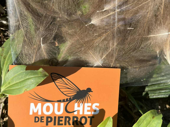 plumes CDC  JUMBO XXL nat khaki moyen