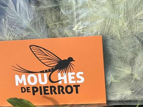 Plumes de CDC Ultra Sélectionnées JUMBO XXL - Jaune Pale