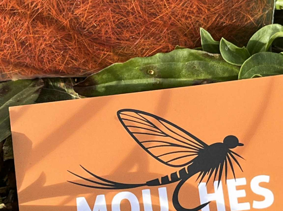 Poils de lièvre - Orange