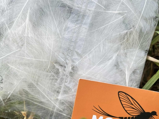 Plumes de CDC Ultra Sélectionnées JUMBO XXL - Nat. Blanc