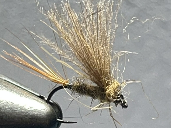 Baetis Rodhani (kaki foncé )