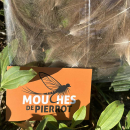 plumes CDC  JUMBO XXL nat khaki moyen