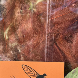 Plumes de CDC Ultra Sélectionnées JUMBO XXL - Rouille Marron