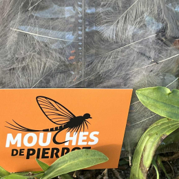 Plumes de CDC Ultra Sélectionnées JUMBO XXL - Dun