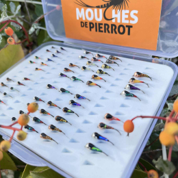 Boîte 50 Perdigones