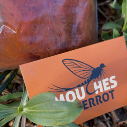 Plumes de CDC Ultra Sélectionnées JUMBO XXL - Rouille Orangé