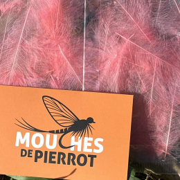 Plumes de CDC Ultra Sélectionnées JUMBO XXL - Rose