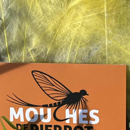 Plumes de CDC Ultra Sélectionnées JUMBO XXL - Jaune