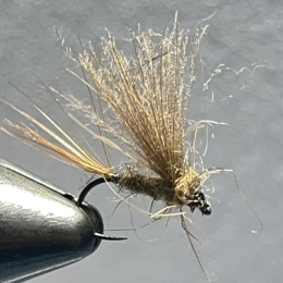 Baetis Rodhani (kaki foncé )