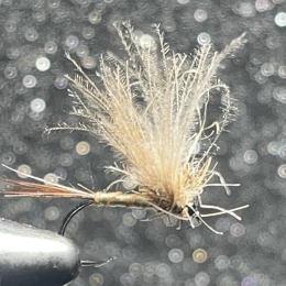 Baetis Rodhani (olive clair)