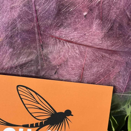 Plumes de CDC Ultra Sélectionnées JUMBO XXL - Lilas