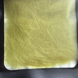 Amarillina  oliva 14