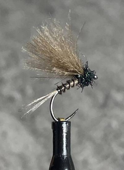 mouche de peche noir/peche en montagne/bibio mouche de St Marc/mouches de pierrot