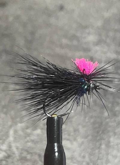 tabanas noir/sedge noir/ mouche de peche/peche en tendem/mouches de pierrot