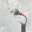 tricoptere/nymphe de peche /cul rouge /mouches de pierrot/peche au toc